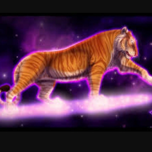 Meet your Posher, Anna - Picture 1 of 1